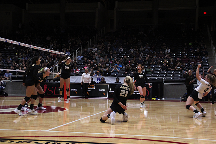 The Ladycats celebrate during the State semi-final game.