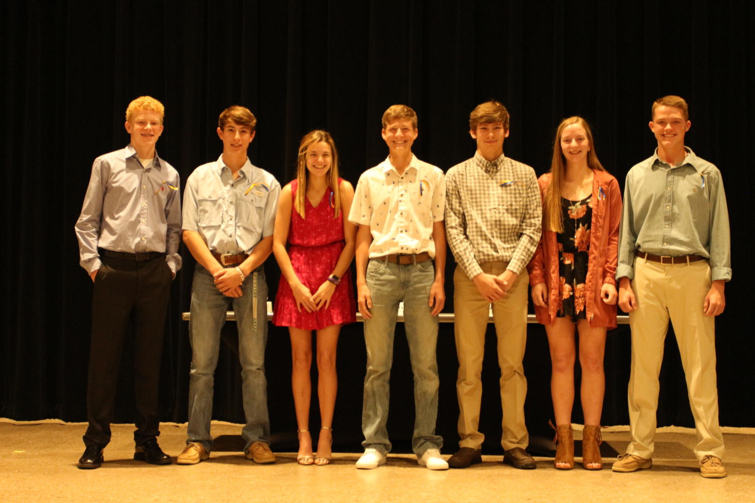 Sophomores Luke Haehn, Carter Hilbers, Kayli Mahler, Davis Mays, Callen McCasland, Emily Saylers, and Cade Strickland were inducted into NHS Sunday Oct. 28.