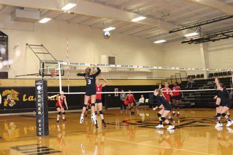 Sophomore Kayli Mahler spikes the ball against Electra. 