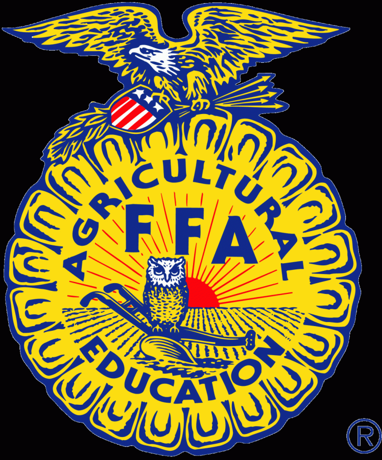 FFA members compete in stock shows for prizes