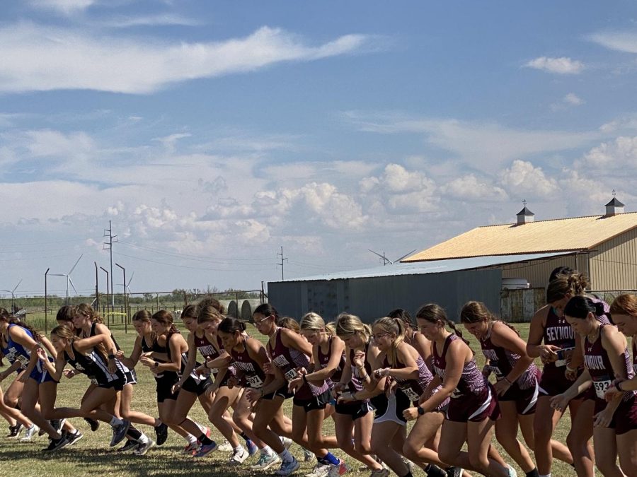 XC teams achieve running start  with 6 medals at Lucy Park meet