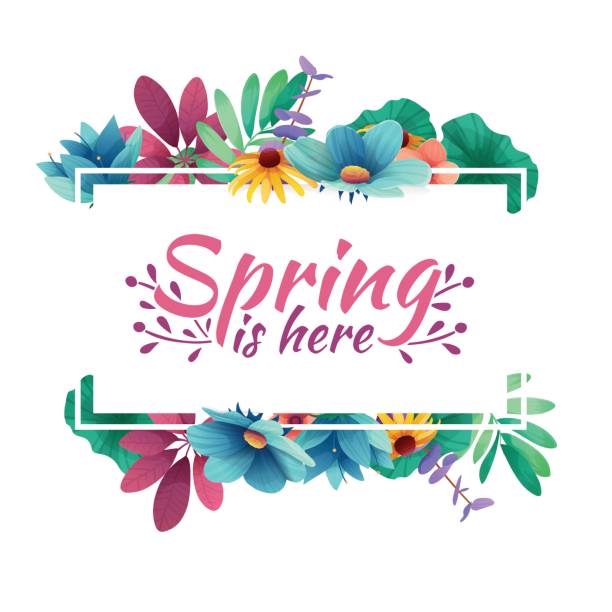 Design banner with  spring is here Icon. Card for spring season with white frame and herb. Promotion offer with spring plants, leaves and flowers decoration.  Vector