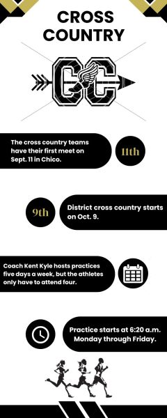 Cross country teams prepare for season