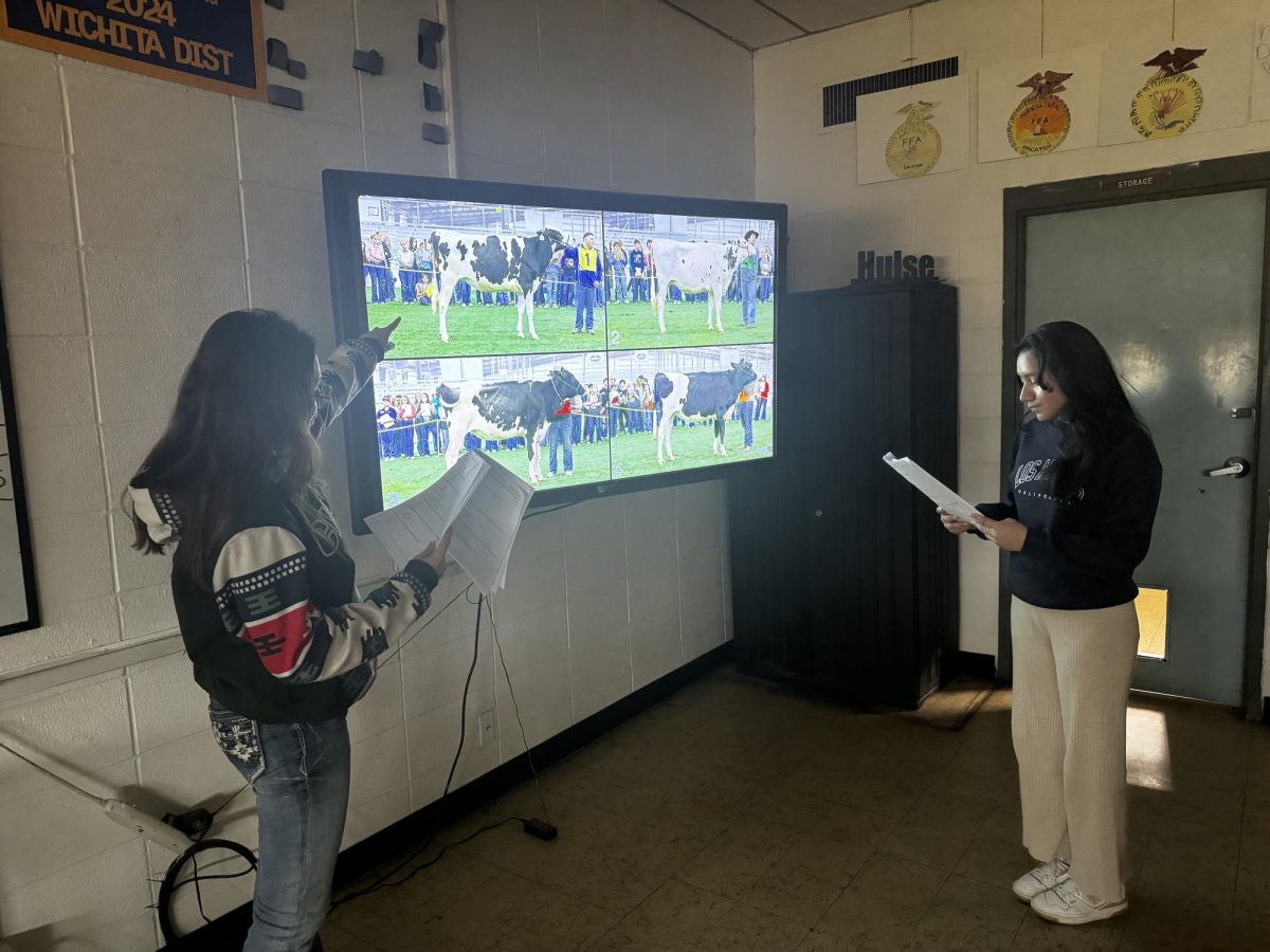 Sophomore Jetzyre Miranda and senior Estefani Zea practice for their career development event. 